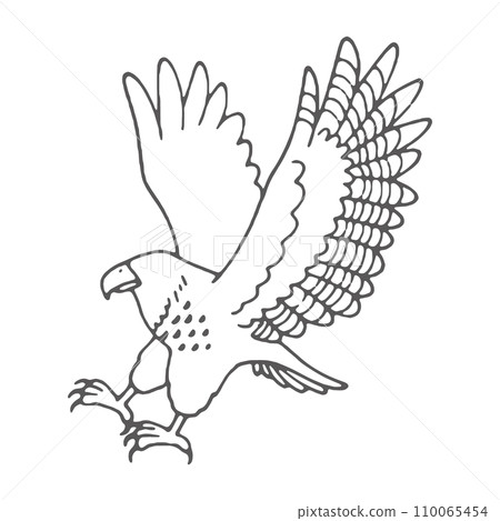 Hawk with spread wings Hawk with spread wings 110065454