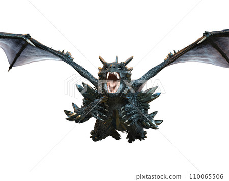 Dragon Dragon 110065506