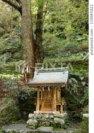 Kyoto, Kifune Shrine Okumiya, Renri cedar (sacred tree) and Hiyoshi Shrine final shrine 110065822