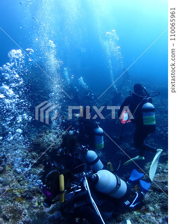 Divers enjoying the seabed of Ishigaki Island 110065961