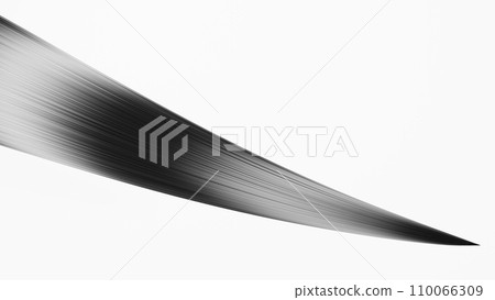 Shiny black hair on a white background. Tip of hair. 3D (horizontal) 110066309