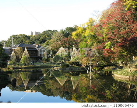 Higo Hosokawa Garden in Bunkyo Ward (Oike/Shoshikaku) with beautiful autumn leaves and snowflakes 110066476