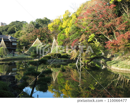 文京區(禦池/松鹿閣)的肥後細川庭園,秋葉和雪花美麗如畫 文京區(禦池/松鹿閣)的肥後細川庭園,秋葉和雪花美麗如畫 110066477