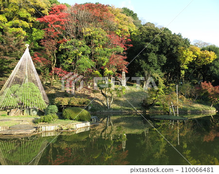 Higo Hosokawa Garden (Oike, 13-story pagoda) in Bunkyo Ward, where autumn leaves and snowdrops are beautiful Higo Hosokawa Garden (Oike, 13-story pagoda) in Bunkyo Ward, where autumn leaves and snowdrops are beautiful 110066481