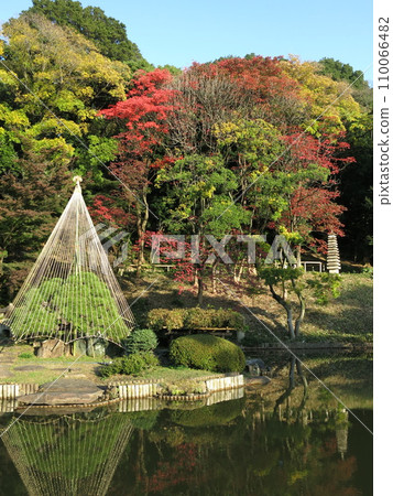 文京區的肥後細川庭園(禦池,13層寶塔),秋天的紅葉和雪花蓮非常美麗 文京區的肥後細川庭園(禦池,13層寶塔),秋天的紅葉和雪花蓮非常美麗 110066482