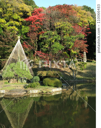 Higo Hosokawa Garden (Oike, 13-story pagoda) in Bunkyo Ward, where autumn leaves and snowdrops are beautiful Higo Hosokawa Garden (Oike, 13-story pagoda) in Bunkyo Ward, where autumn leaves and snowdrops are beautiful 110066483