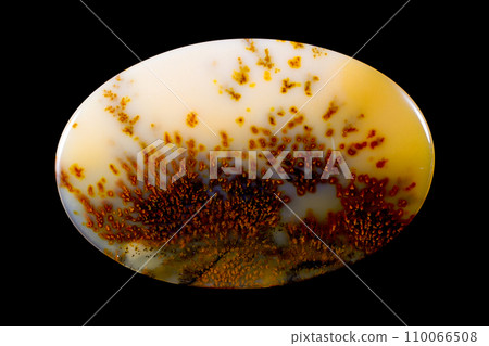 樹枝狀瑪瑙 蘊含風景的石頭 110066508