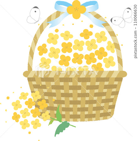 Treat decoration decoration rape blossoms plant spring illustration material 110066630