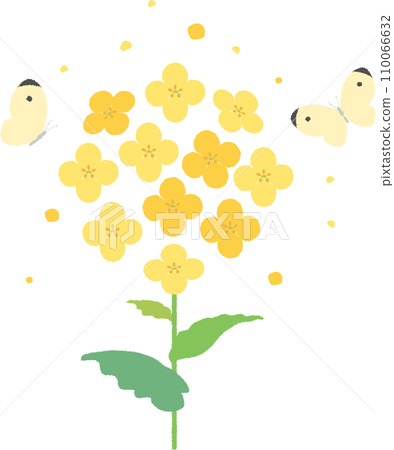 對待裝飾裝飾油菜花植物春天插畫素材 110066632