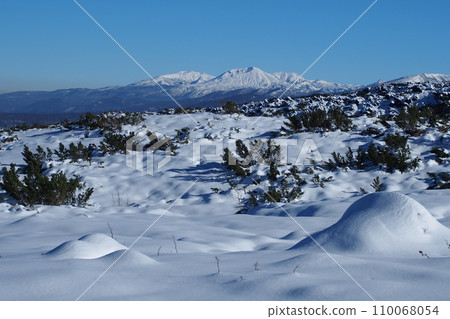 View of Daisetsuzan from the silver world of Hokkaido Tokachidake mountain trail 110068054