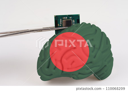 On a white background, a model of the brain with a picture of a flag - Bangladesh, a microcircuit, a processor, is implanted into it. 110068209