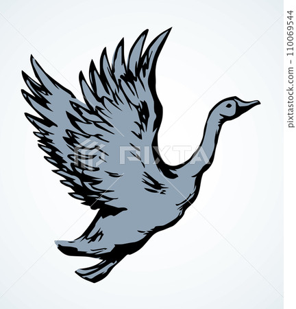 Goose in flight. Vector drawing Goose in flight. Vector drawing 110069544