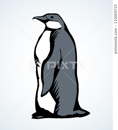 Penguin on the ice. Vector drawing 110069725