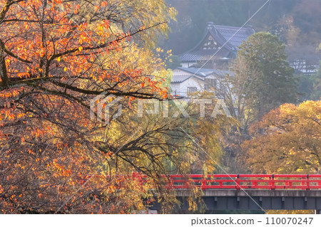 231109 Nakahashi g080 110070247