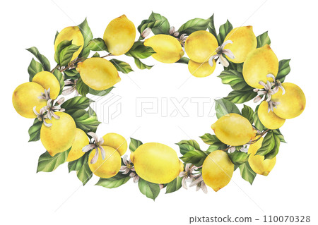 Lemons are yellow, juicy, ripe with green leaves, flower buds on the branches, whole and slices. Watercolor, hand drawn botanical illustration. Oval frame, wreath, template on a white background Lemons are yellow, juicy, ripe with green leaves, flower buds on the branches, whole and slices. Watercolor, hand drawn botanical illustration. Oval frame, wreath, template on a white background 110070328