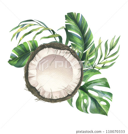 Coconuts whole, halves and pieces with bright, green, tropical palm leaves. Hand drawn watercolor illustration. Pre-made composition isolated from the background. 110070333