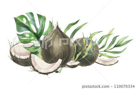Coconuts whole, halves and pieces with bright, green, tropical palm leaves. Hand drawn watercolor illustration. Pre-made composition isolated from the background. 110070334