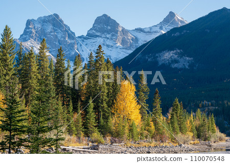 Beautiful Bow River scenery. Canmore, Alberta, Canada. The Three Sisters trio of peaks over the blue sky in the background. 110070548