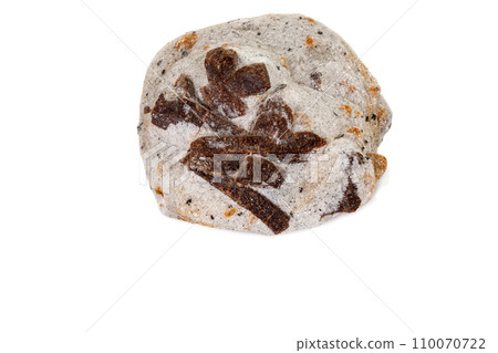 macro mineral stone Staurolite on a white background macro mineral stone Staurolite on a white background 110070722