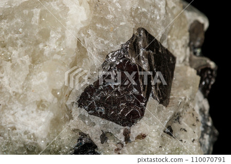 Macro stone Apatite and magnetite mineral on parade on black background 110070791