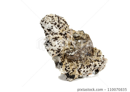 Macro stone Pyrite mineral in rock on a white background Macro stone Pyrite mineral in rock on a white background 110070835