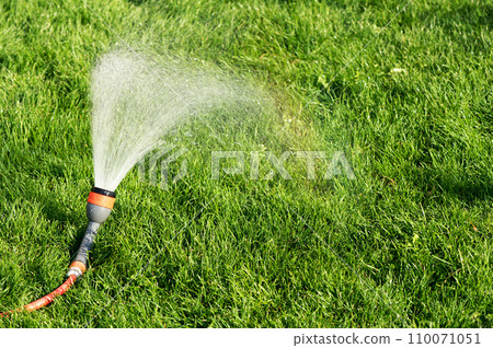Watering the lawn from a Garden spray gun Watering the lawn from a Garden spray gun 110071051