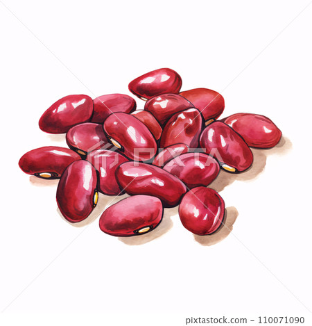 紅豆水彩插圖 紅豆水彩插圖 110071090