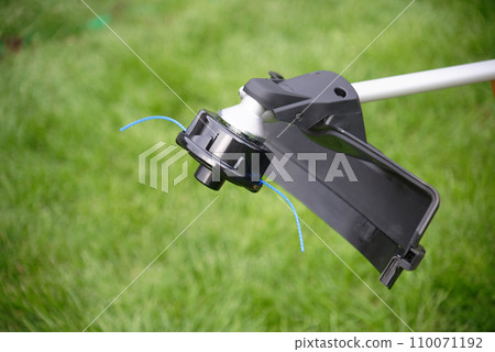 Trimmer head 110071192