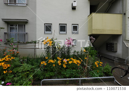 June in Narashinodai 110071538