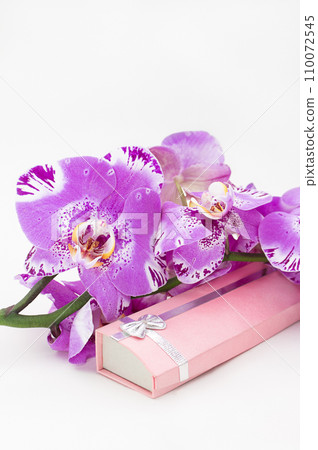 Bouquet of purple orchids on long pink gift box with bow. Large beautiful blossom bunch. Birthday, Valentine's Day, Women's and Mother's Day, holiday. Copy space Bouquet of purple orchids on long pink gift box with bow. Large beautiful blossom bunch. Birthday, Valentine's Day, Women's and Mother's Day, holiday. Copy space 110072545