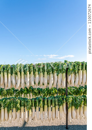 【神奈川縣】三浦的招牌蘿蔔幹 【神奈川縣】三浦的招牌蘿蔔幹 110072674