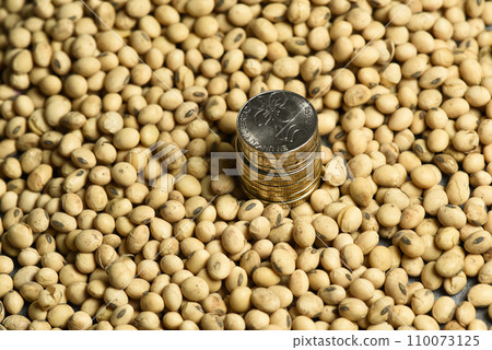 Dollars banknotes and coins and soy beans, commoditi value concept. Dollars banknotes and coins and soy beans, commoditi value concept. 110073125
