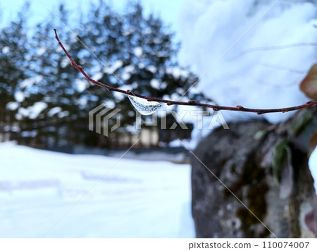 積雪覆蓋的木頭 110074007