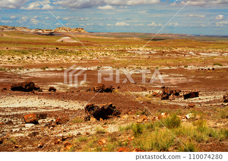 Rugged and Desolate Landscape Petrified Forest Arizona 110074280