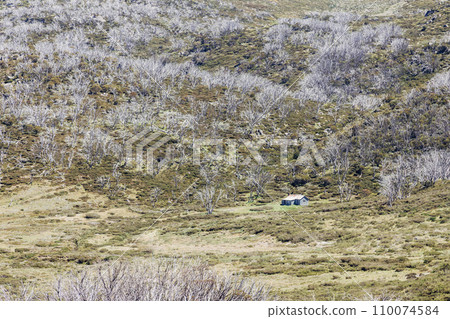 Whites River Hut in Kosciuszko National Park in Australia 110074584
