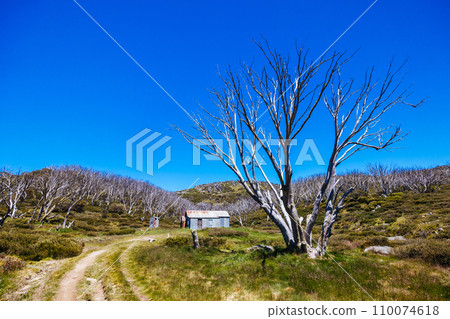 Whites River Hut in Kosciuszko National Park in Australia 110074618