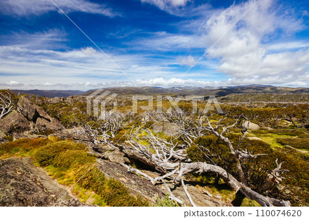 Porcupine Rocks in Kosciuszko National Park Australia 110074620