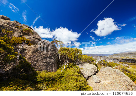 Porcupine Rocks in Kosciuszko National Park Australia 110074636