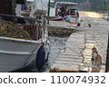 cats near the boat eating fish, morning, sea, pier, fishermen, 110074932