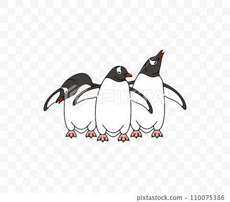 Subantarctic penguin or gentoo penguins, graphic design. Animal, bird, avian, feathered, antarctica and nature, vector design and illustration 110075386
