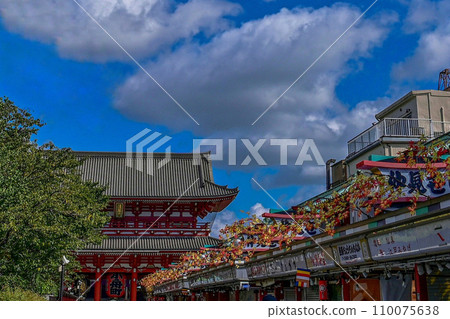 【東京】淺草寺、大紅燈籠和龍雕、仲見世商店街,還有很多來自海外的人。 【東京】淺草寺、大紅燈籠和龍雕、仲見世商店街,還有很多來自海外的人。 110075638
