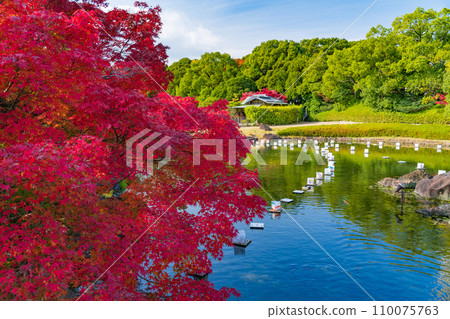 Autumn Swan Garden (Nagoya City, Aichi Prefecture) 110075763