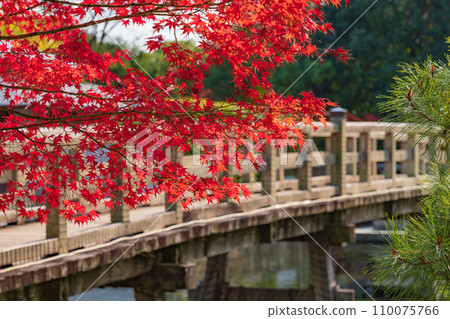 Autumn Swan Garden (Nagoya City, Aichi Prefecture) Autumn Swan Garden (Nagoya City, Aichi Prefecture) 110075766
