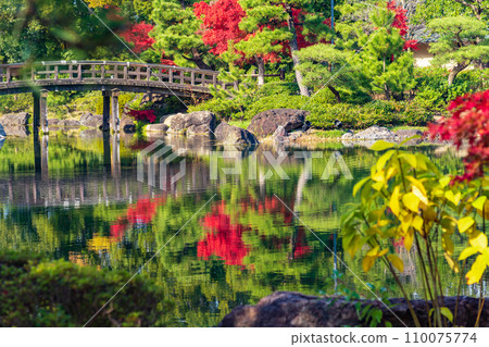 秋天的天鵝花園(愛知縣名古屋市) 秋天的天鵝花園(愛知縣名古屋市) 110075774
