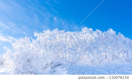 Pure white shining frost-covered trees, a world of blue and white, Shiga Prefecture, Mt. Ibuki in winter, Japan's 100 Famous Mountains 110076238