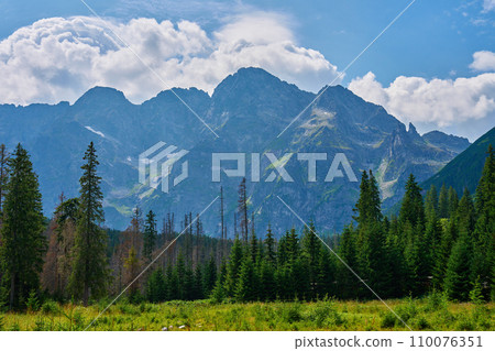 Mountains range near forest trees at summer day 110076351