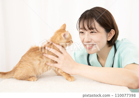 Female veterinarian examining a kitten Female veterinarian examining a kitten 110077398