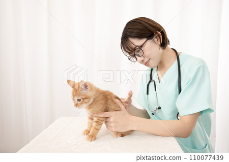 Female veterinarian giving injection to kitten Female veterinarian giving injection to kitten 110077439