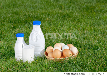 Fresh milk and chicken eggs in the spring green grass on the meadow Fresh milk and chicken eggs in the spring green grass on the meadow 110077514