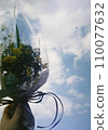 Mimosa bouquet and sky 110077632